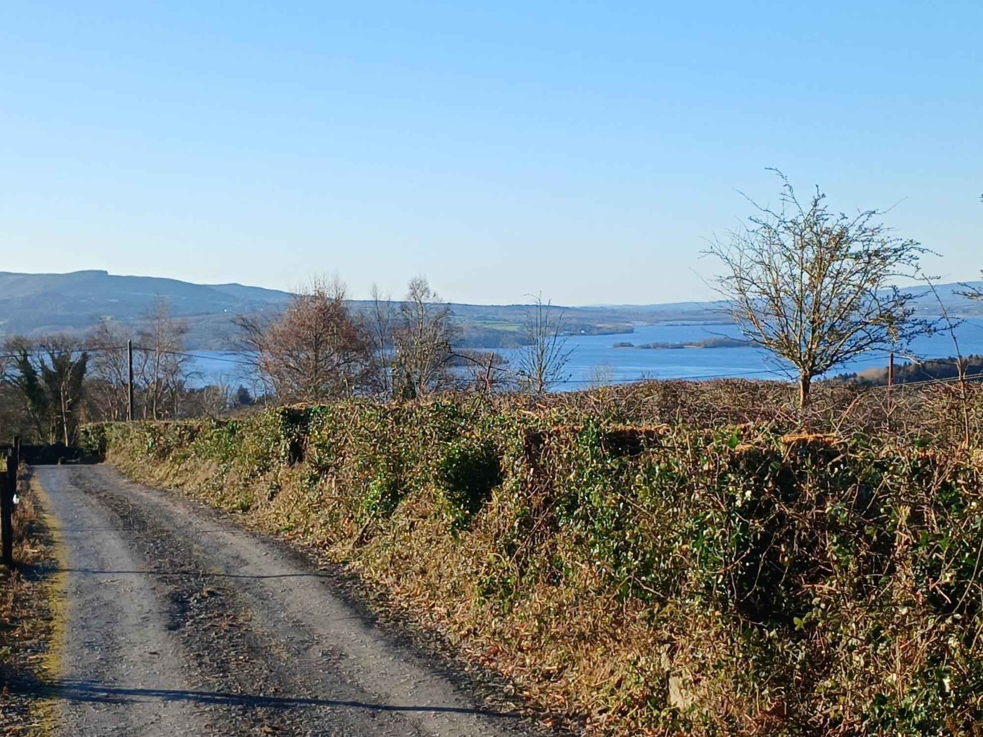 Lakeview Farm * Castletown (Wexford)